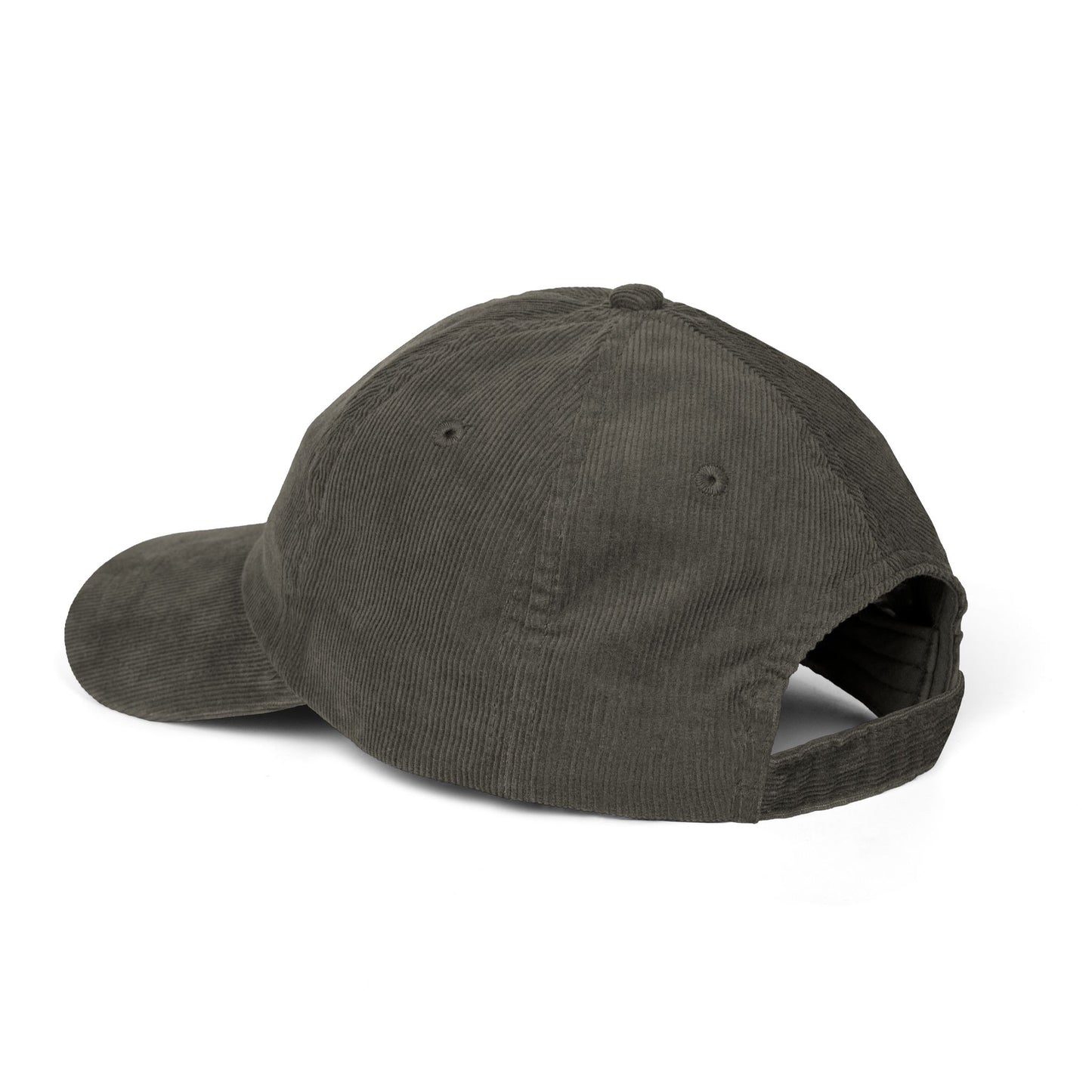 My Dogs Think Trump Is An Idiot Embroidered Corduroy Cap