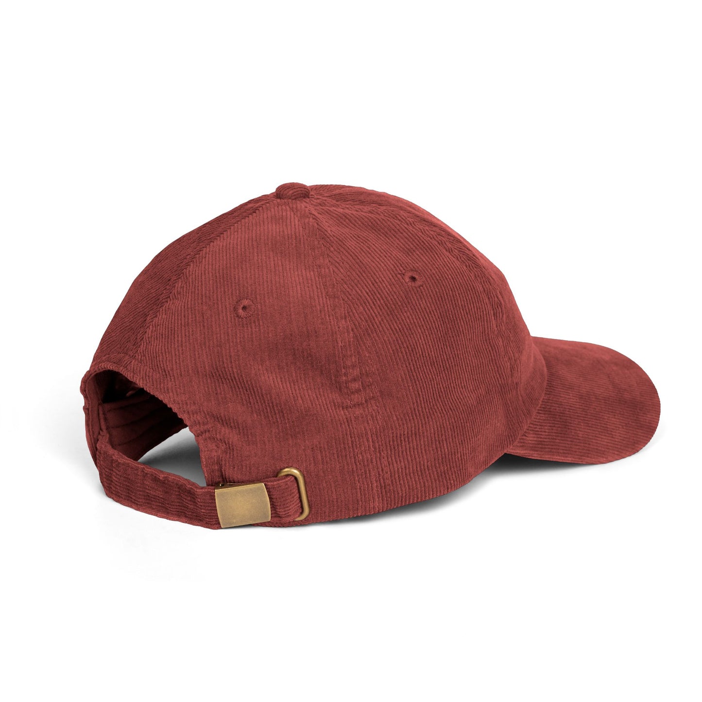 My Dogs Think Trump Is An Idiot Embroidered Corduroy Cap