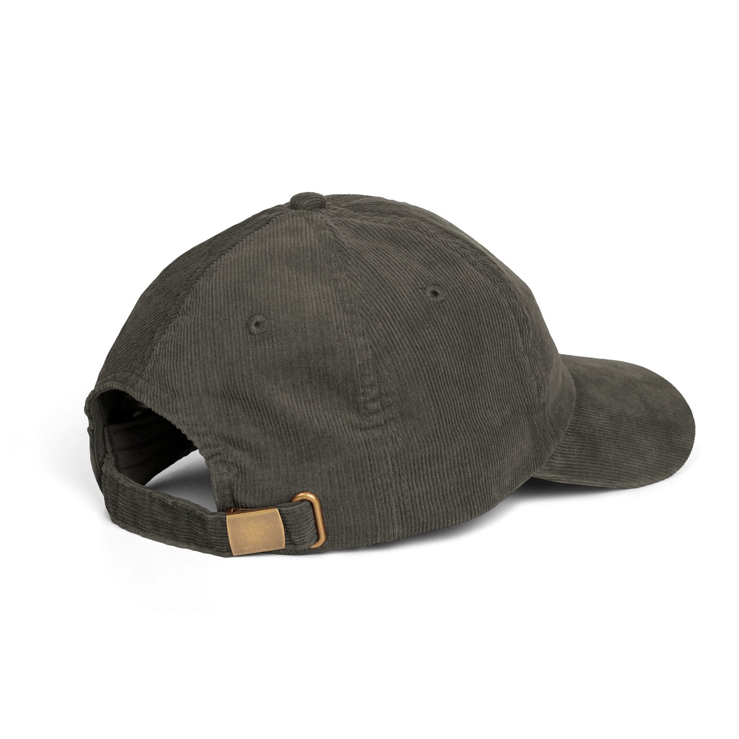 My Dogs Think Trump Is An Idiot Embroidered Corduroy Cap